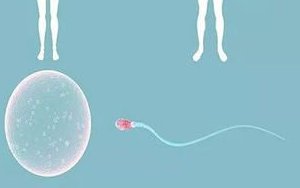 泰国哪一家试管婴儿好？哪家三代试管机构靠谱？