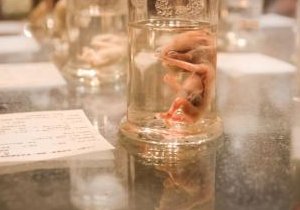 东营做三代试管婴儿所需证件，要多注意哪些方面？