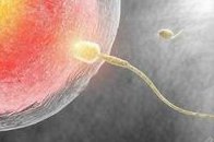 子宫腺肌症做试管的步骤真没那么复杂，仅需3步就能成功迎来好孕