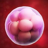 羊水穿刺检查前一个星期可以和老公做爱吗？