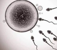 一般做试管婴儿多少钱？能保证一次怀上吗？