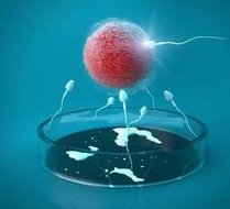 2026年想去瑞安市做试管婴儿需要准备哪些事？详细收费明细一览