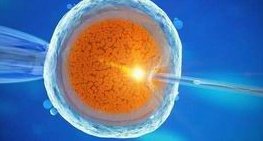 确诊为免疫性不孕能在贵溪市做试管婴儿吗？做三代试管需要多少钱？