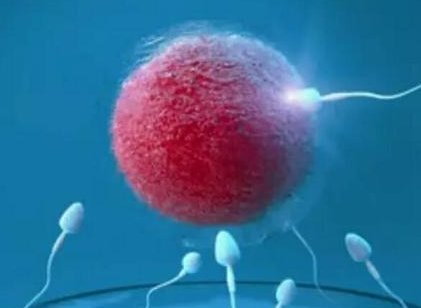 长春双阳区试管婴儿哪家好，长春双阳区试管婴儿哪家好一点